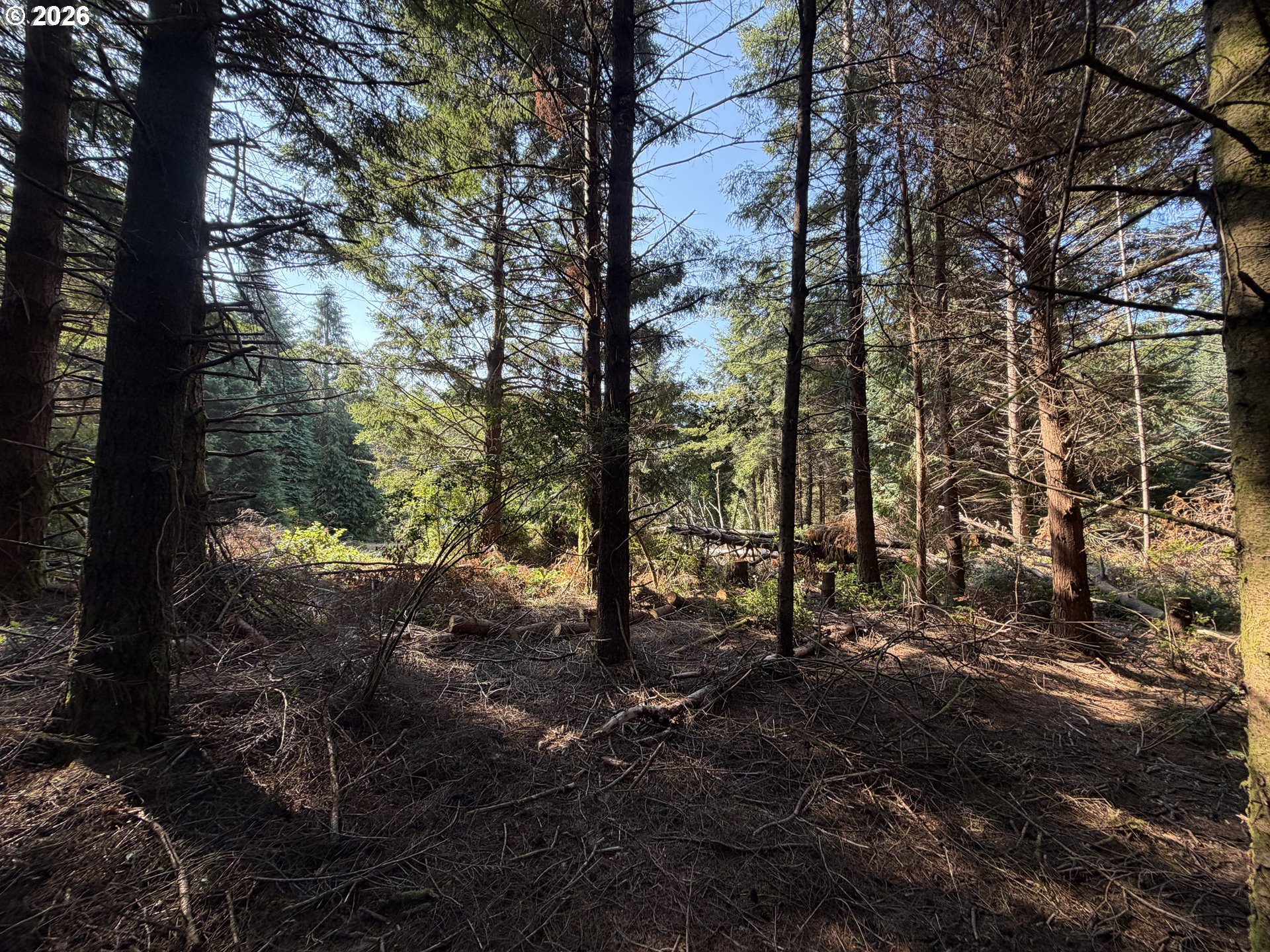 Clear Lake Rd Property Photo 18