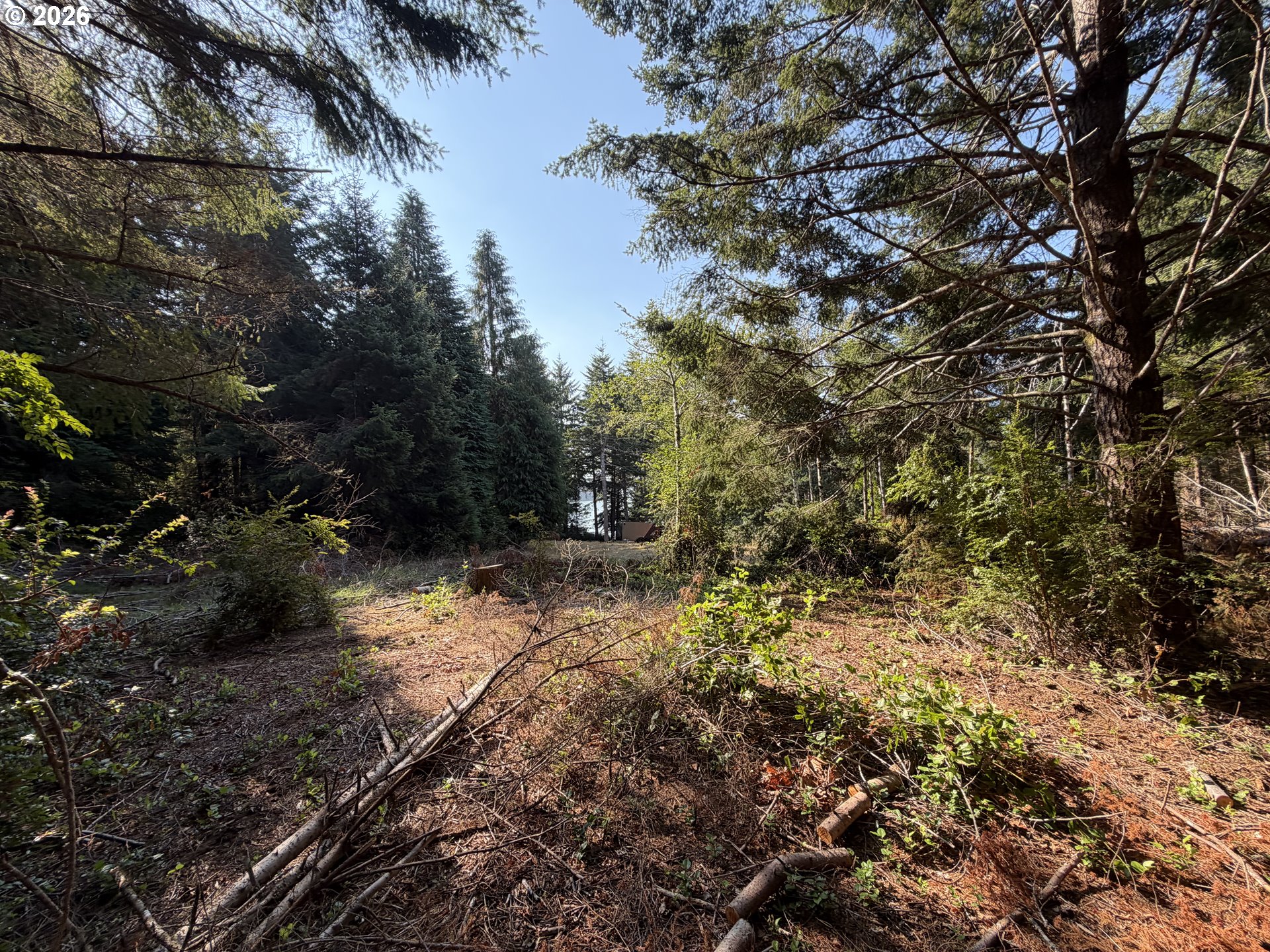 Clear Lake Rd Property Photo 20