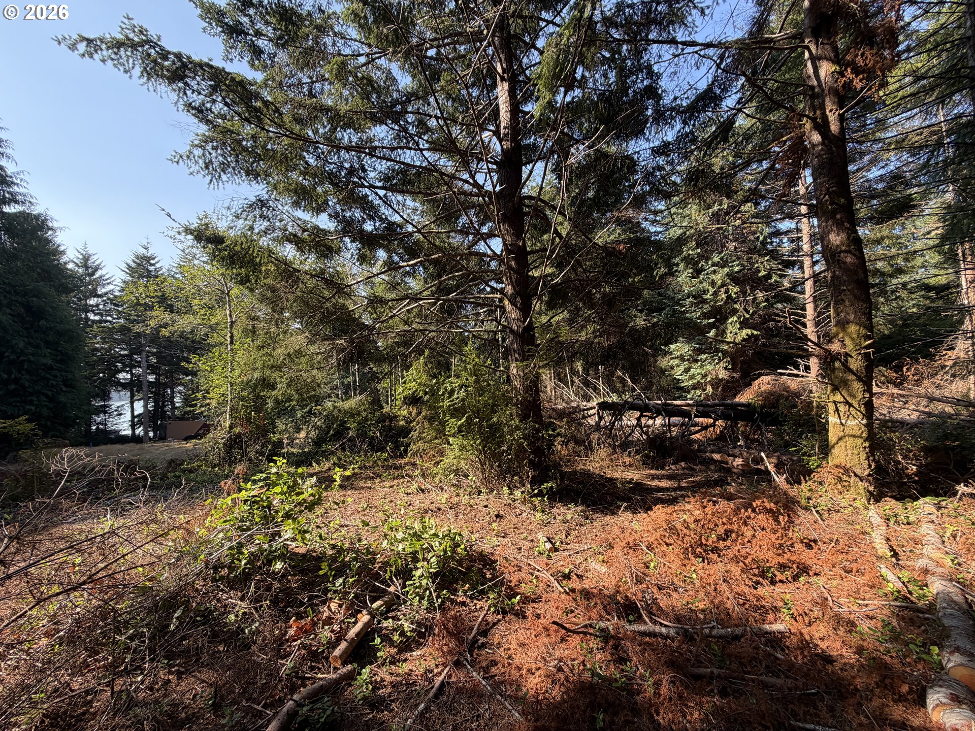 Clear Lake Rd Property Photo 21