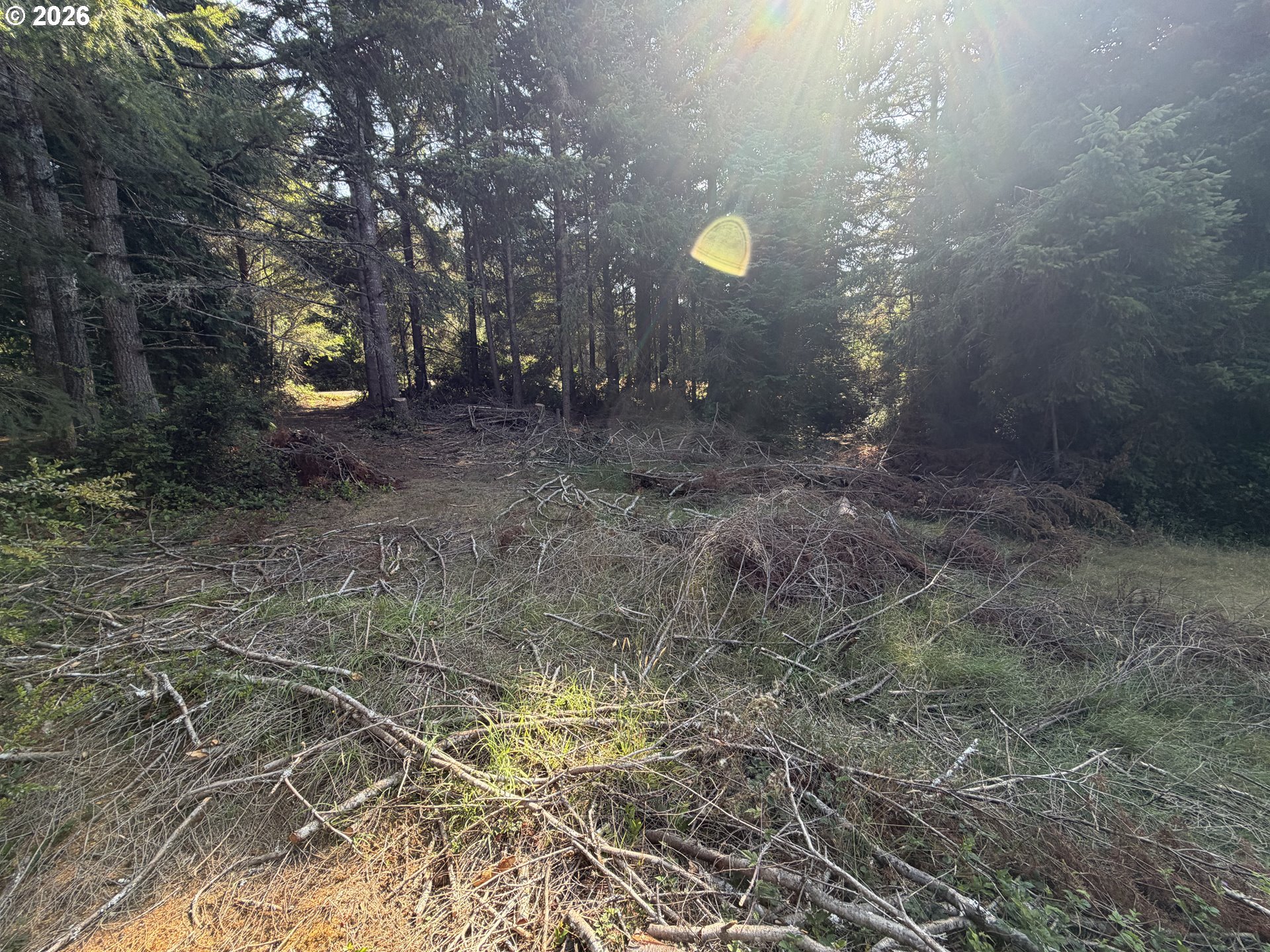 Clear Lake Rd Property Photo 22