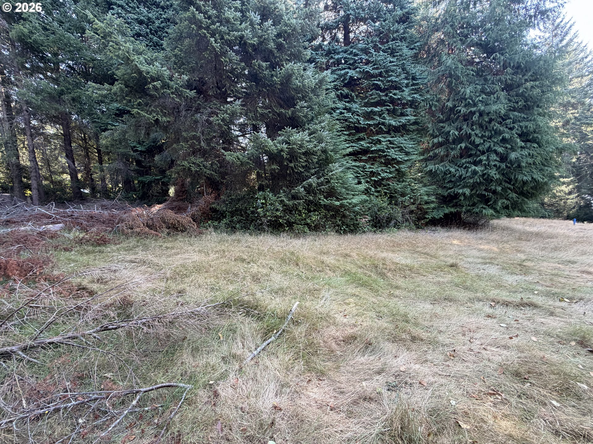 Clear Lake Rd Property Photo 23