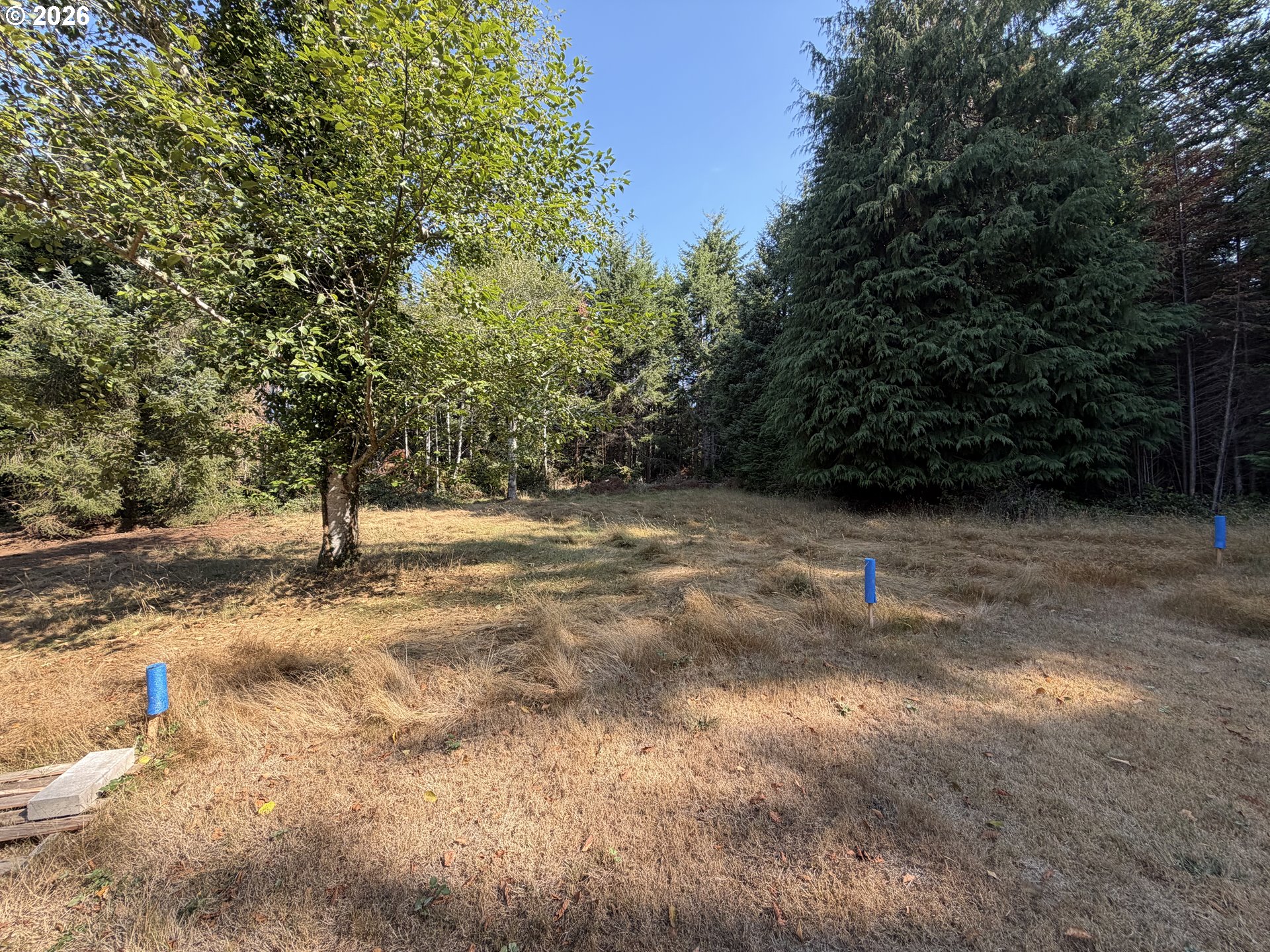 Clear Lake Rd Property Photo 27