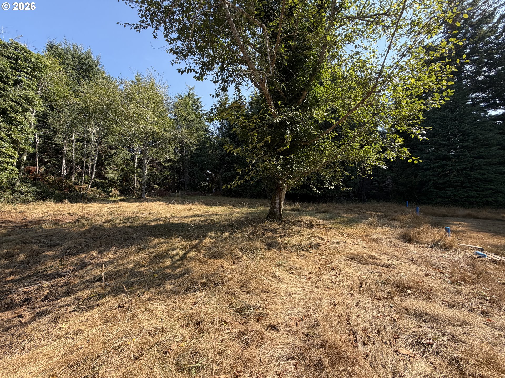 Clear Lake Rd Property Photo 30
