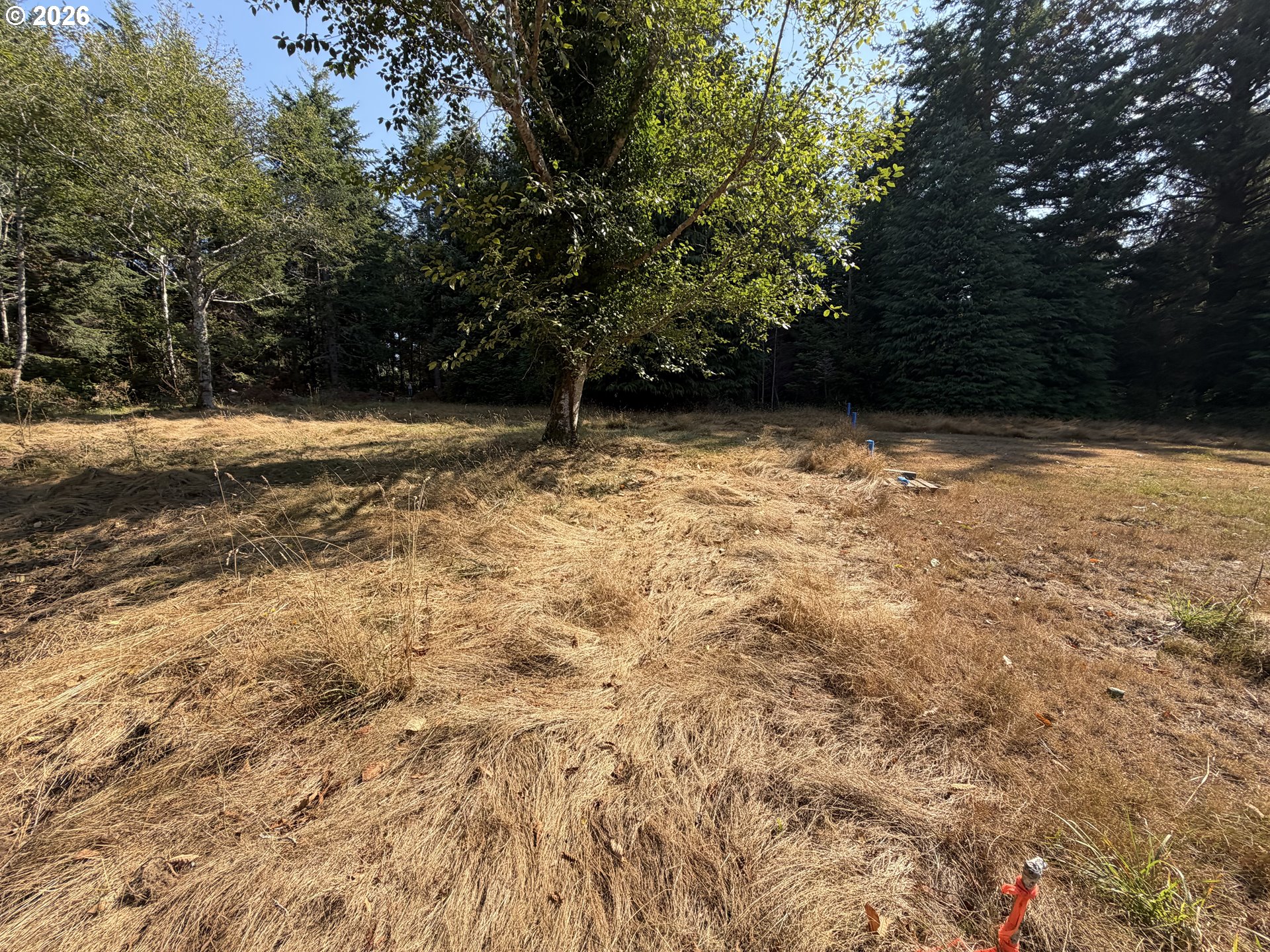Clear Lake Rd Property Photo 31