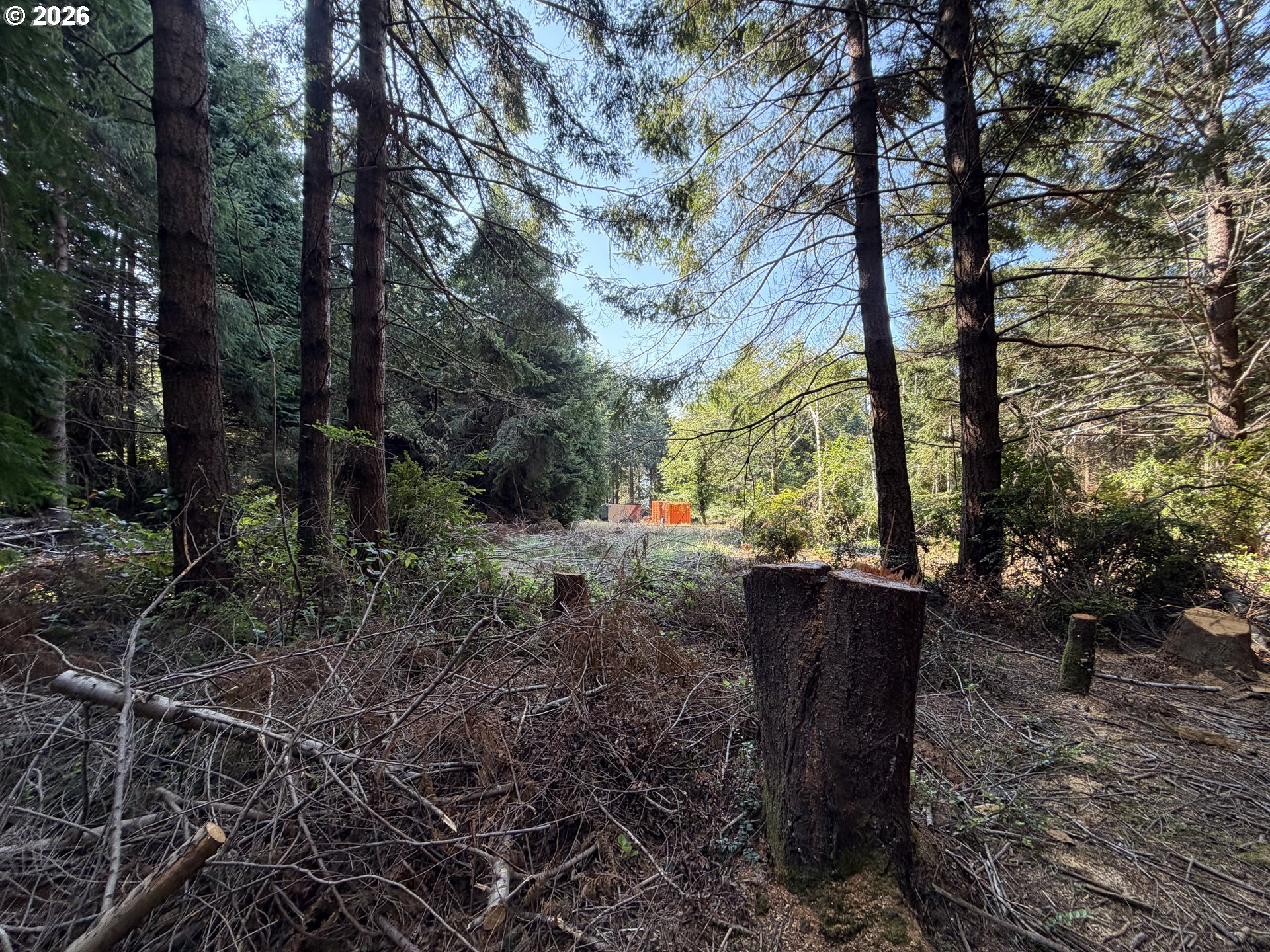 Clear Lake Rd Property Photo 36