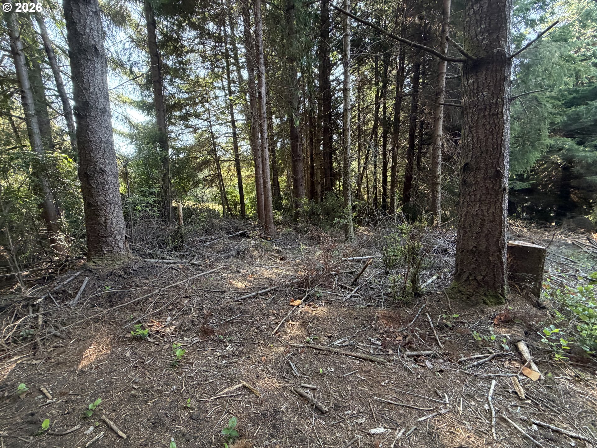 Clear Lake Rd Property Photo 37