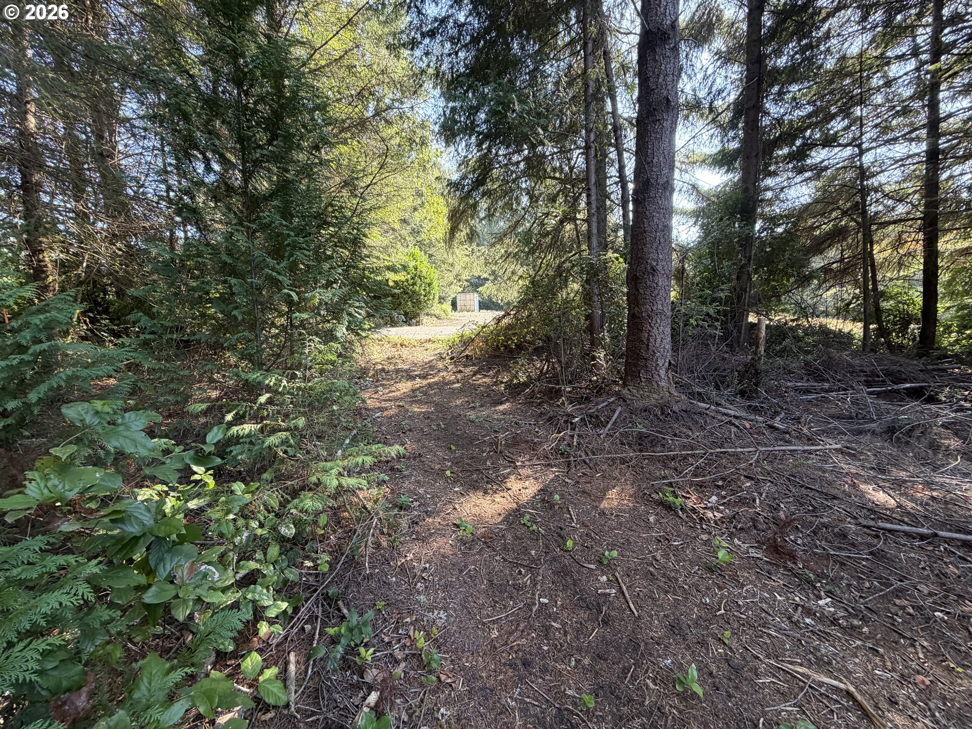 Clear Lake Rd Property Photo 38