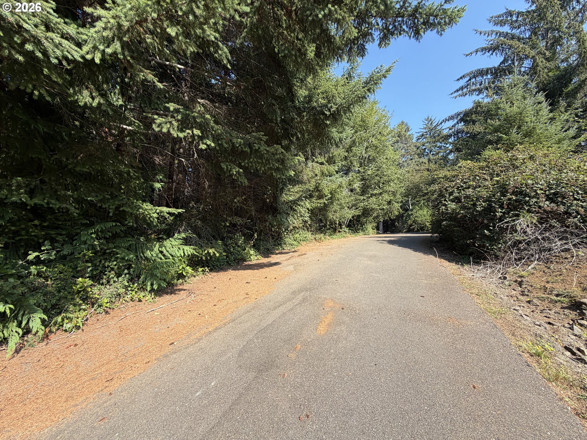 Clear Lake Rd Property Photo 39