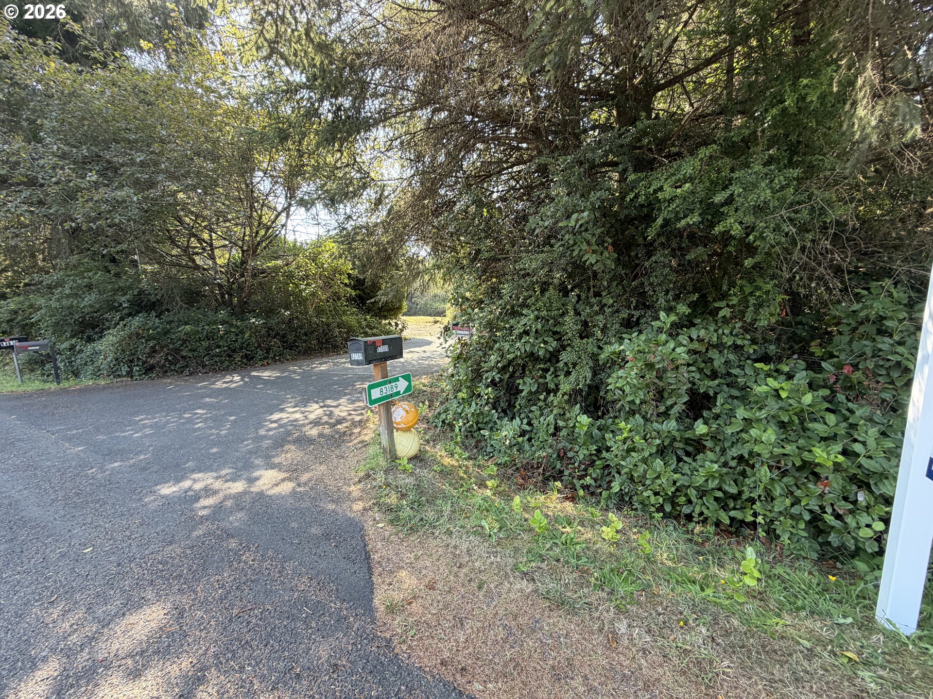 Clear Lake Rd Property Photo 42