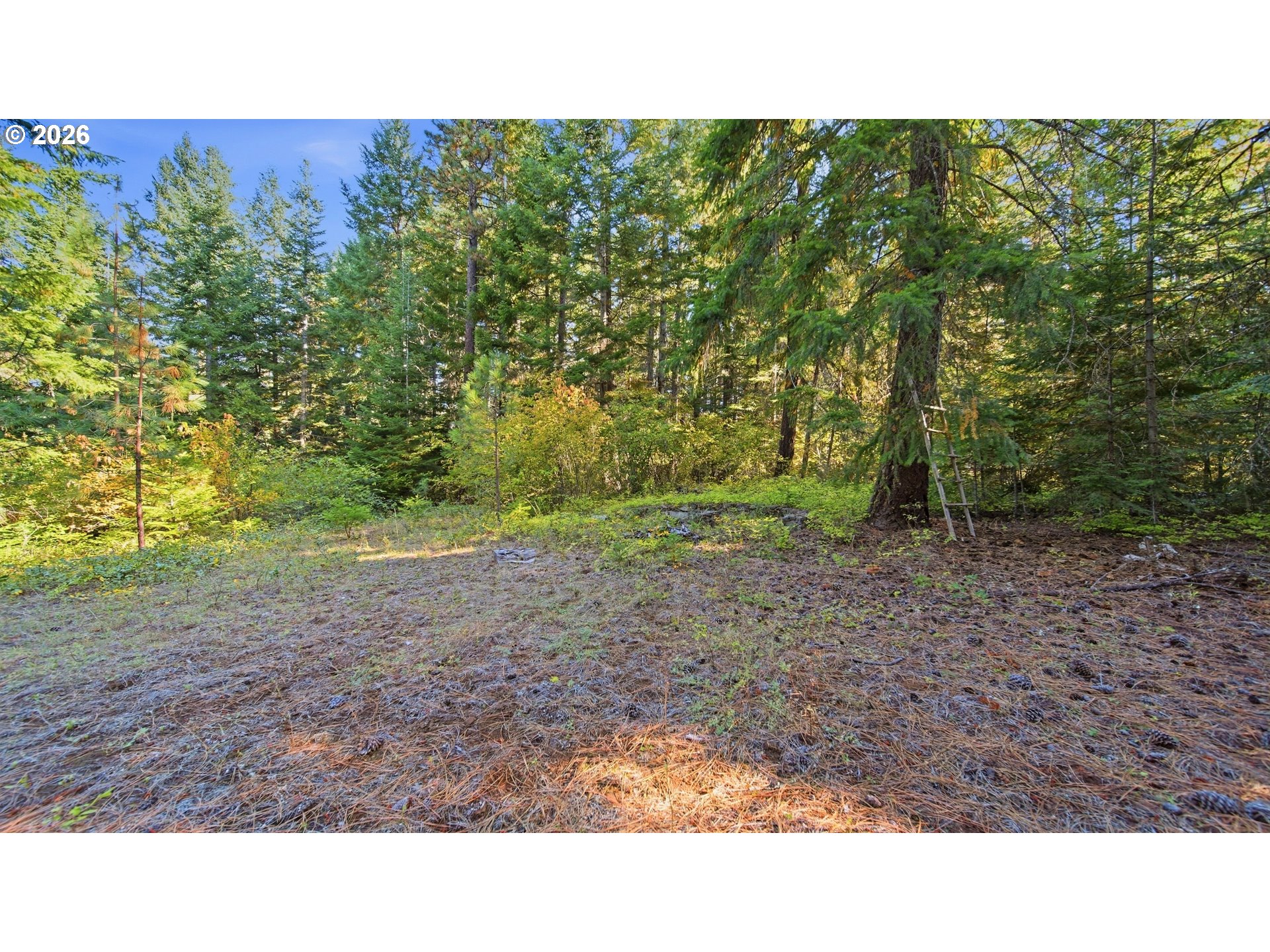 7 Mill Rd Property Photo 3