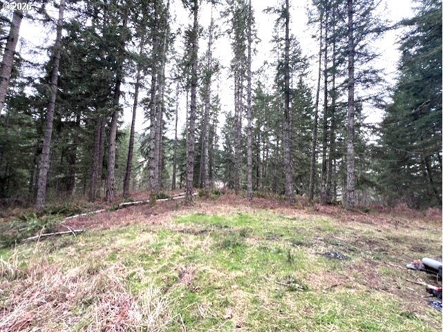Highway 47 Property Photo 1