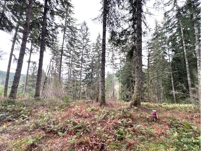 Highway 47 Property Photo 2