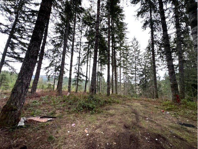 Highway 47 Property Photo 4