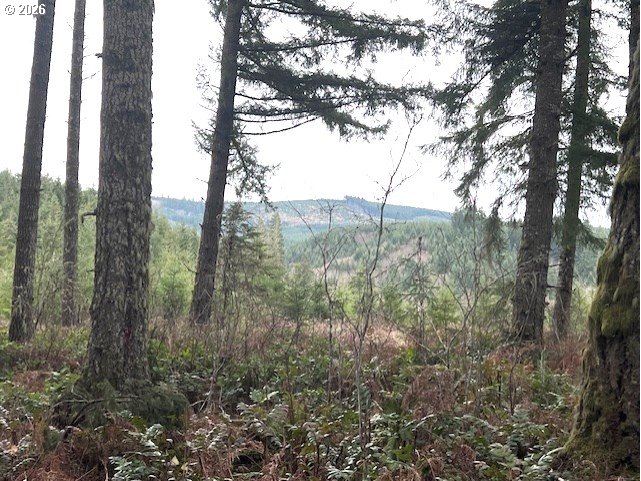 Highway 47 Property Photo 5