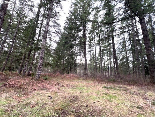 Highway 47 Property Photo 6