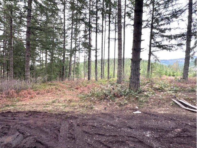 Highway 47 Property Photo 7