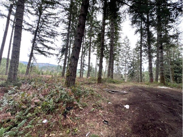 Highway 47 Property Photo 8