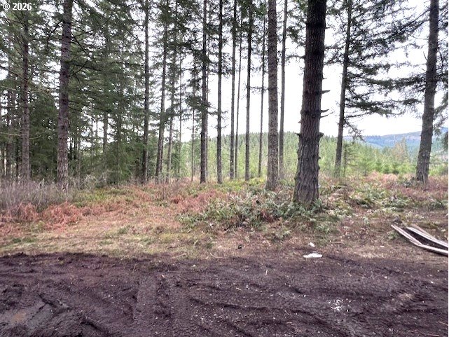 Highway 47 Property Photo 9