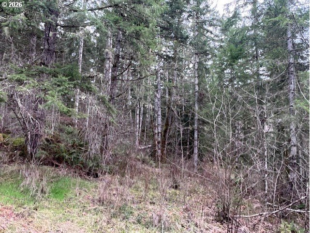 Highway 47 Property Photo 10