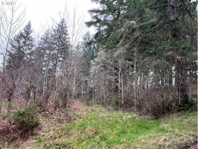 Highway 47 Property Photo 11