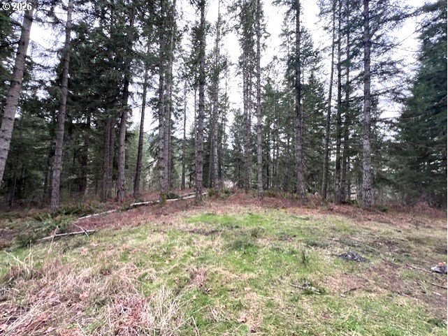 Highway 47 Property Photo 12