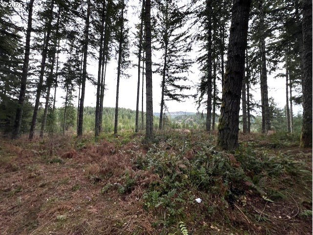 Highway 47 Property Photo 13