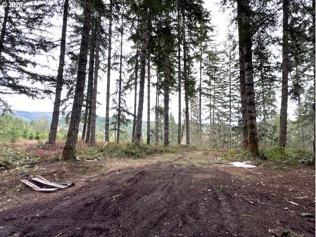 Highway 47 Property Photo 14