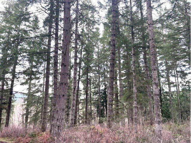 Highway 47 Property Photo 15