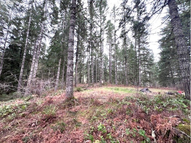 Highway 47 Property Photo 16