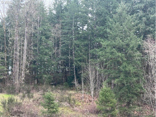 Highway 47 Property Photo 17