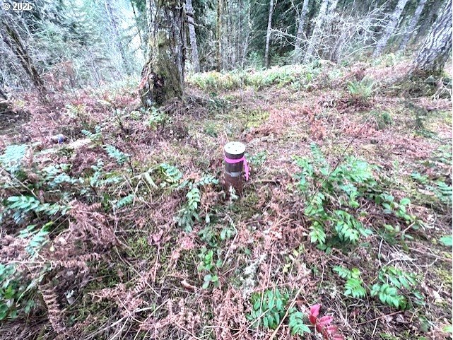 Highway 47 Property Photo 18