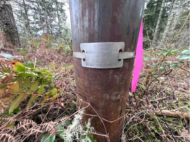Highway 47 Property Photo 19