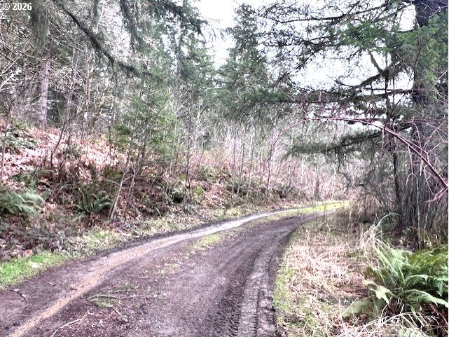 Highway 47 Property Photo 20