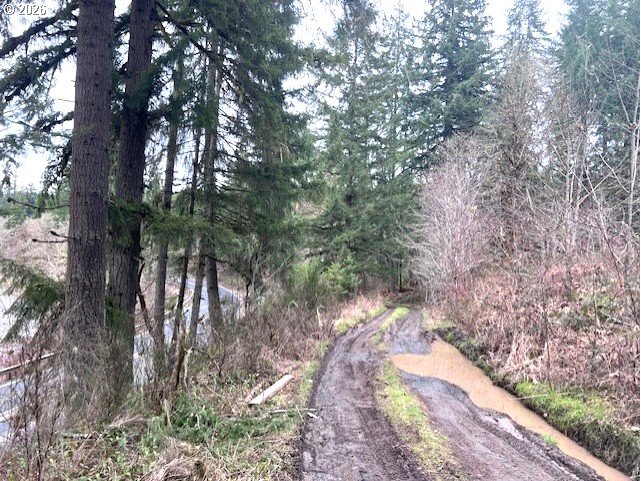 Highway 47 Property Photo 21