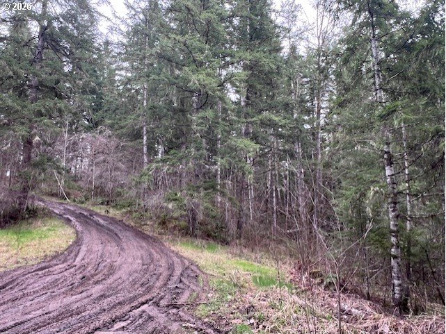 Highway 47 Property Photo 22