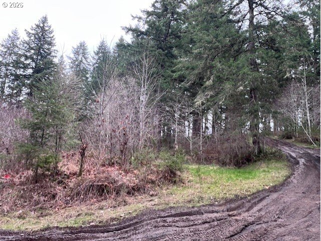 Highway 47 Property Photo 23