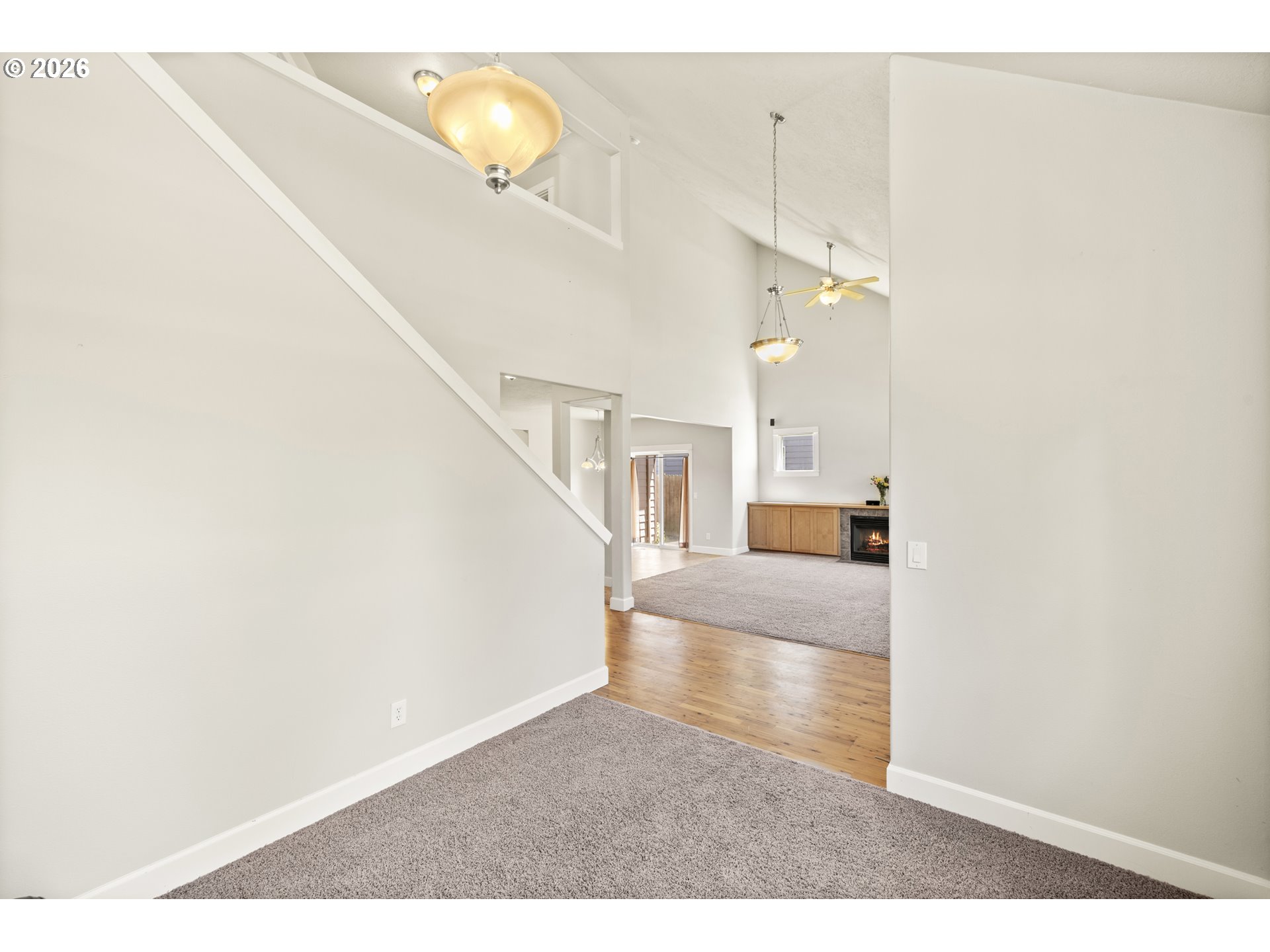1703 Webb Lake Dr Property Photo 30
