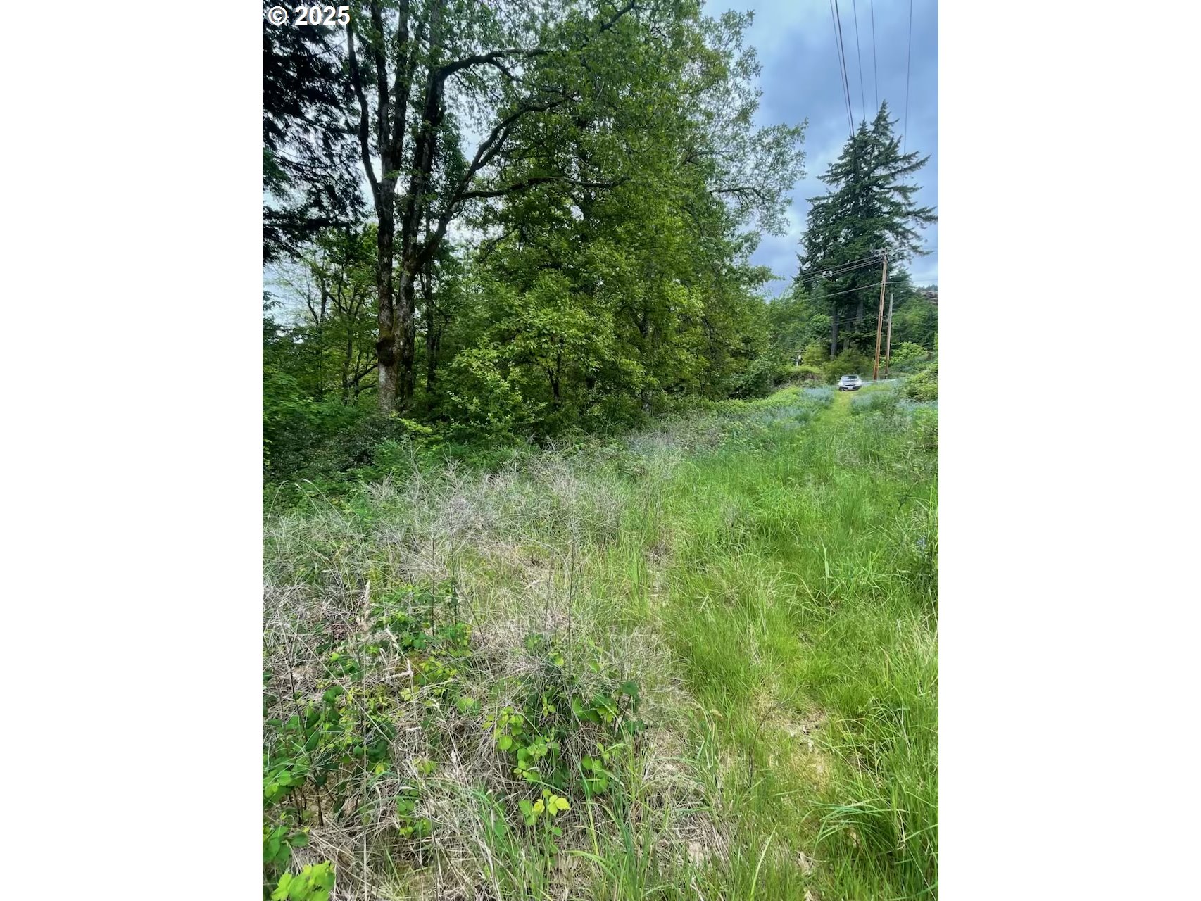 Carson Depot Rd Property Photo 1