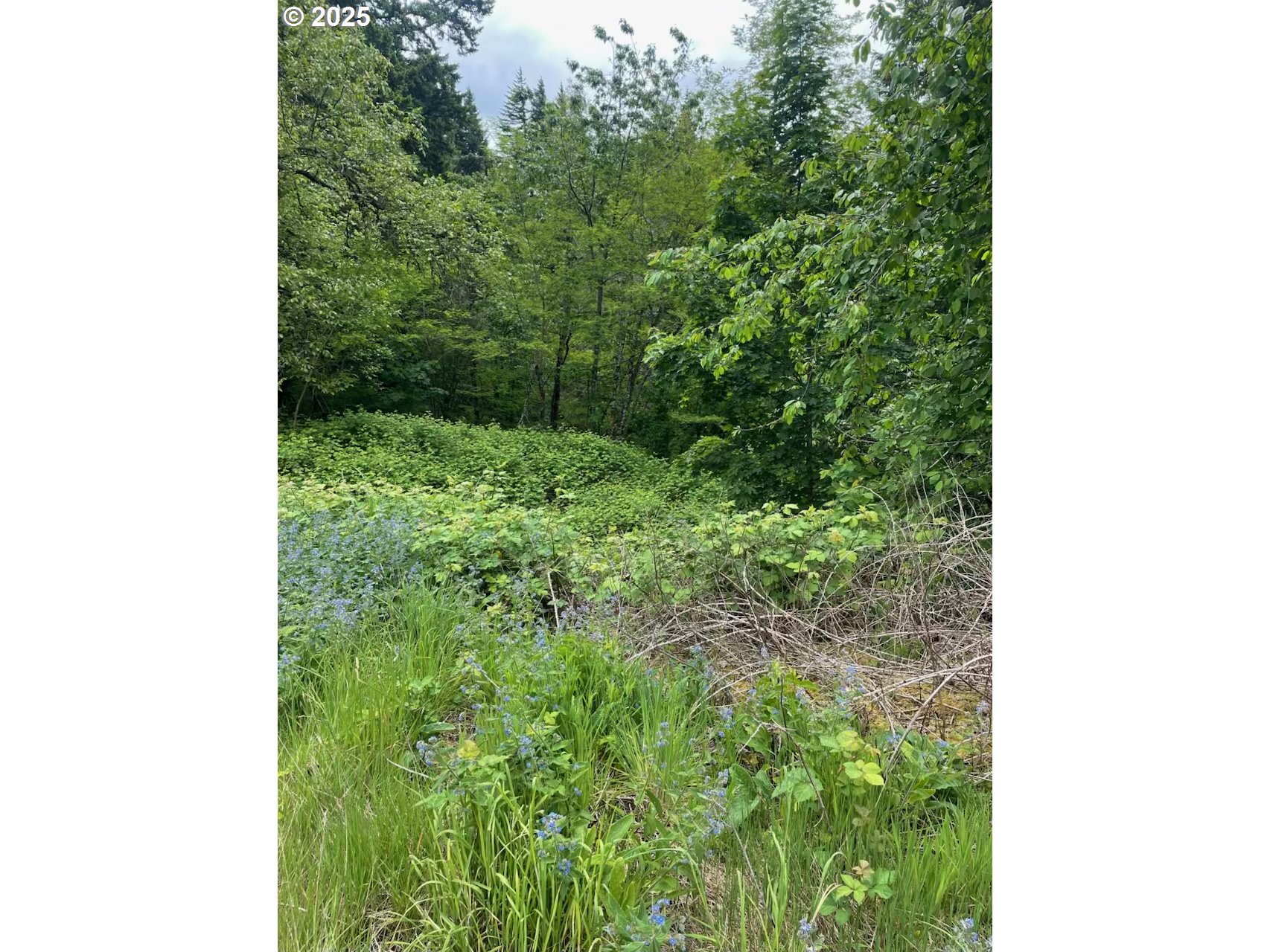Carson Depot Rd Property Photo 2