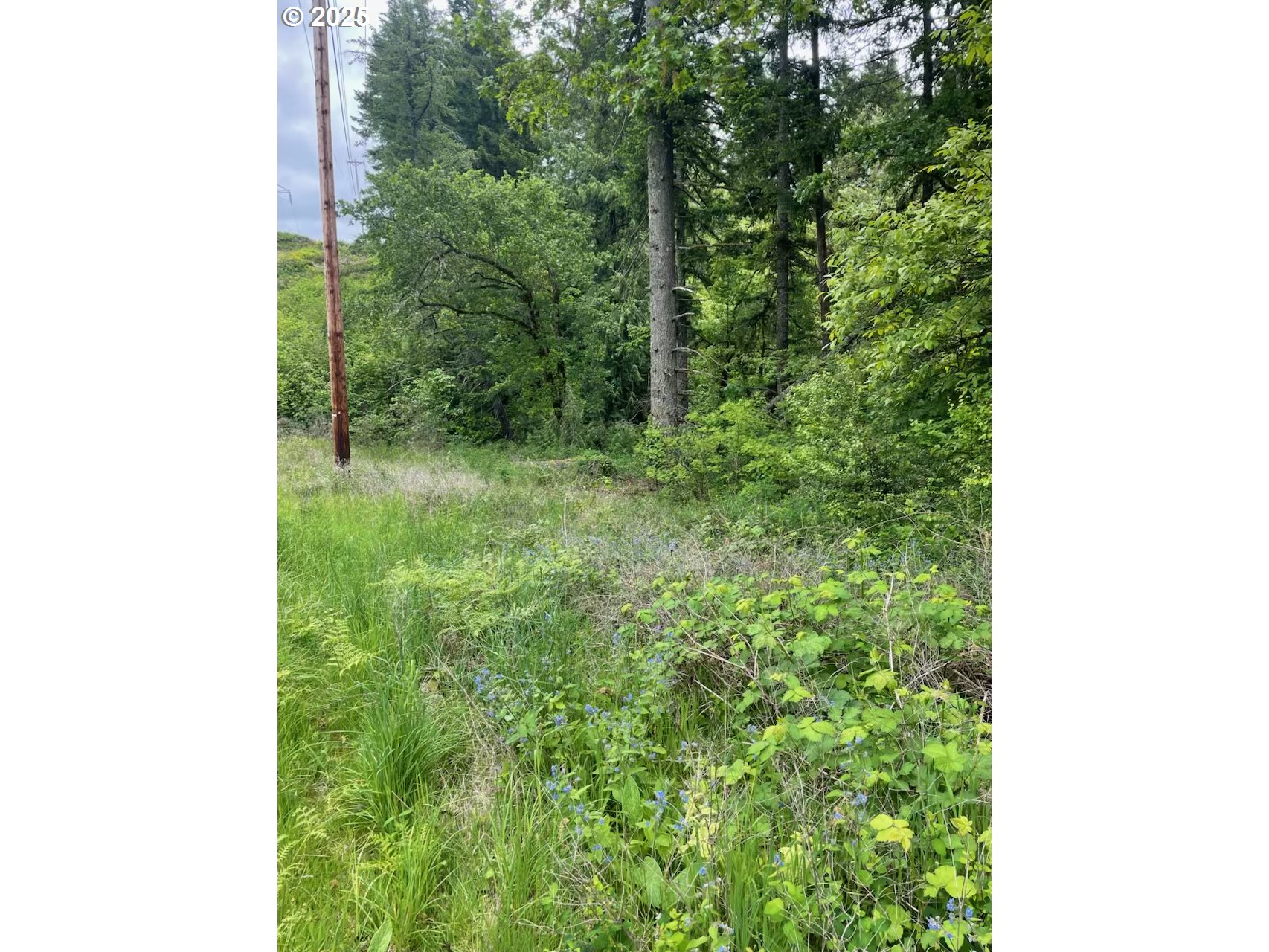 Carson Depot Rd Property Photo 3