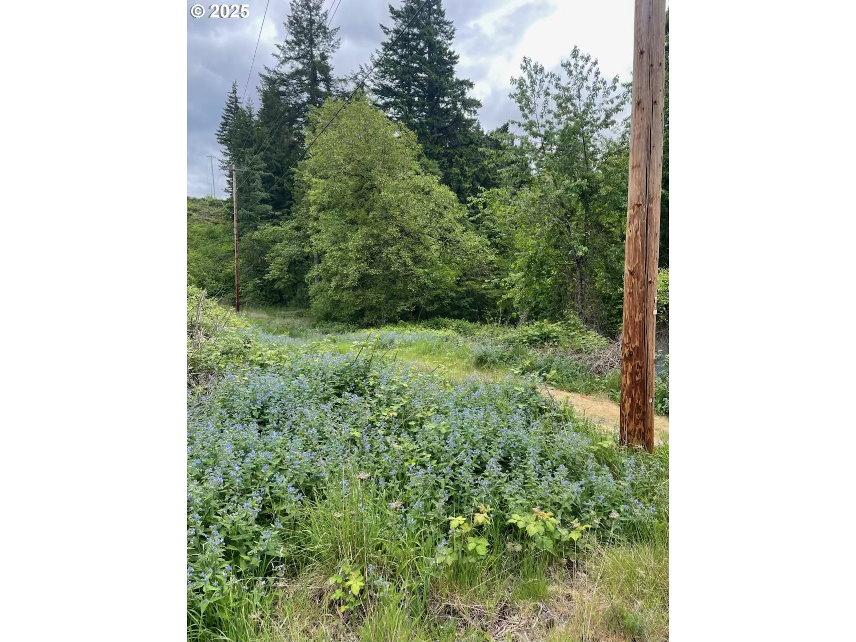 Carson Depot Rd Property Photo 4