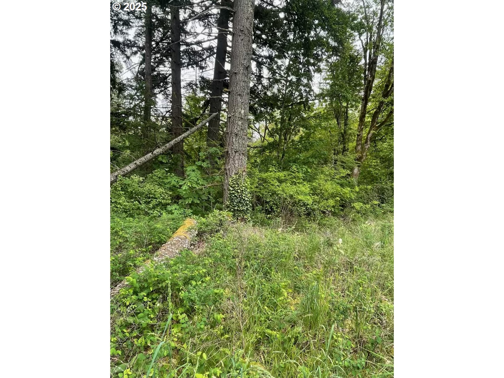 Carson Depot Rd Property Photo 6