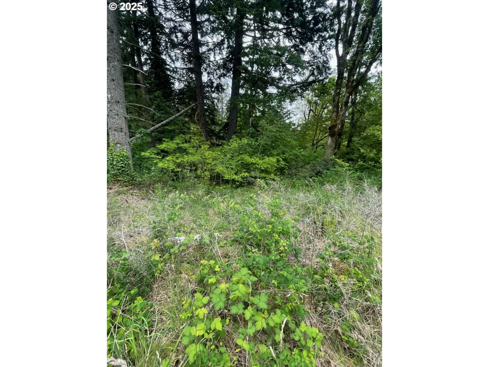 Carson Depot Rd Property Photo 8