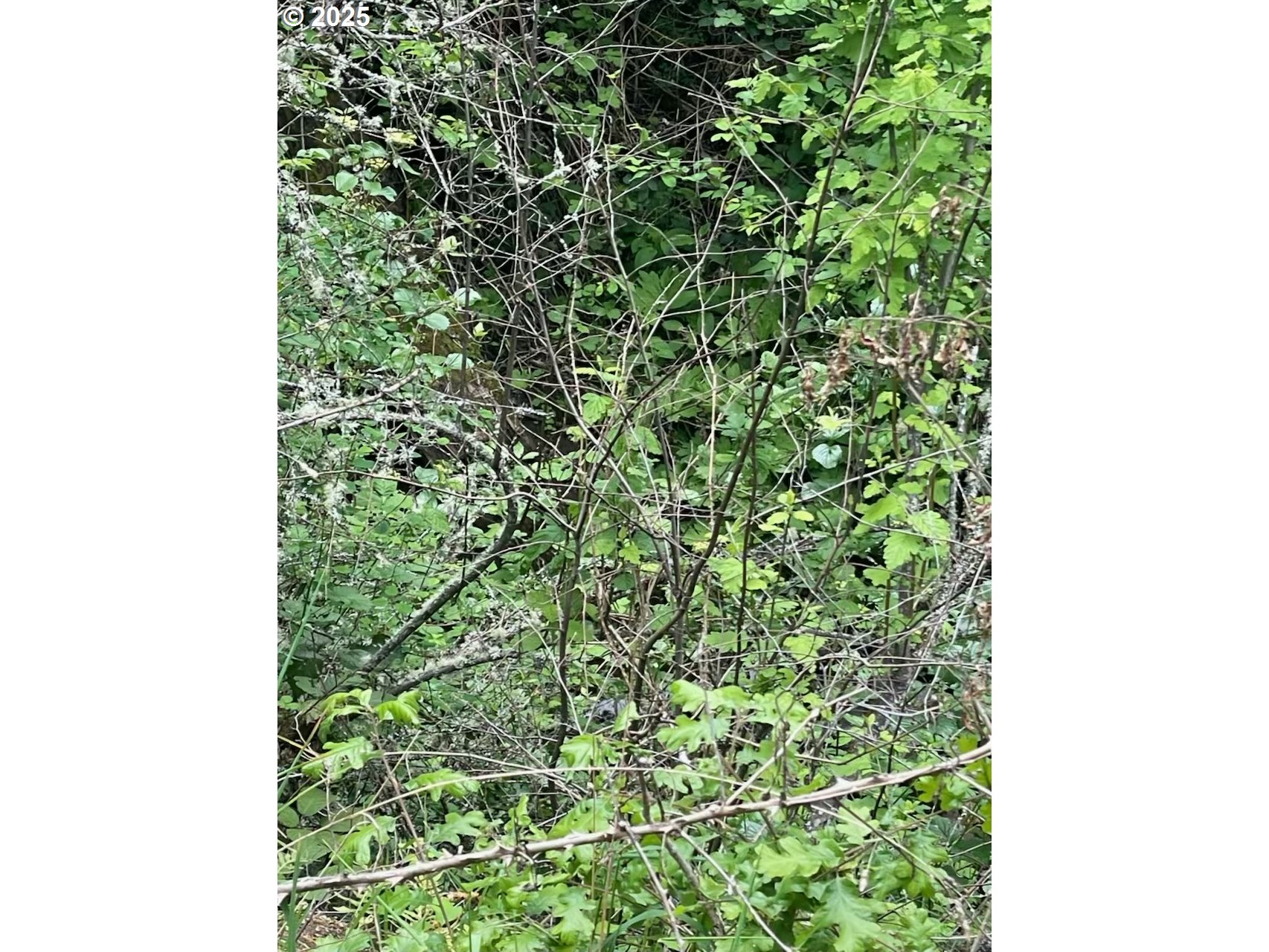 Carson Depot Rd Property Photo 9