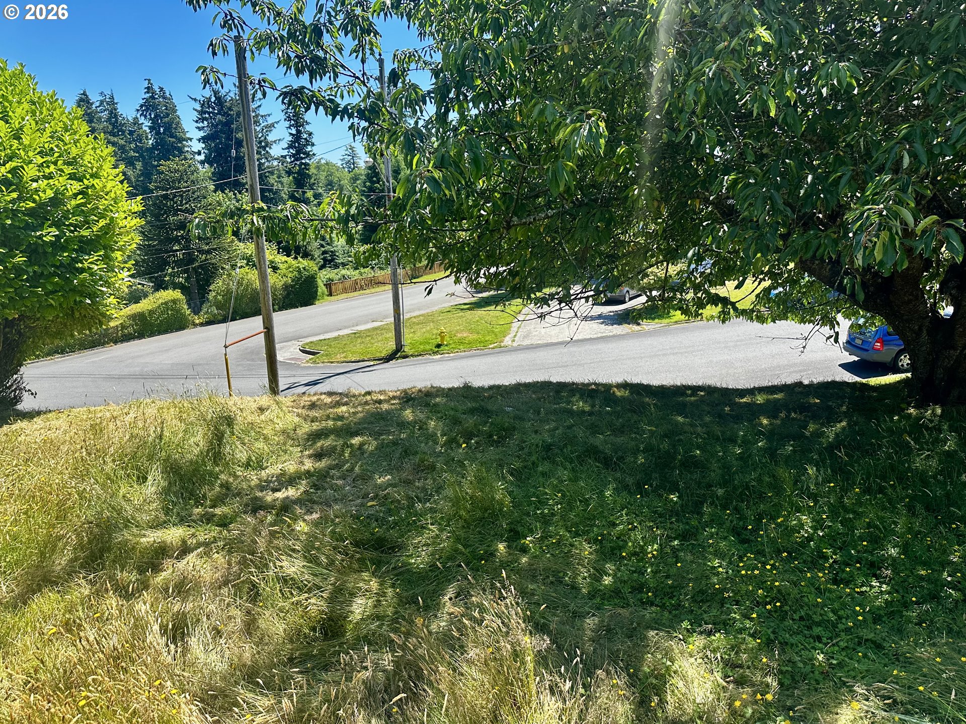 20 Skyline Pl Property Photo 36