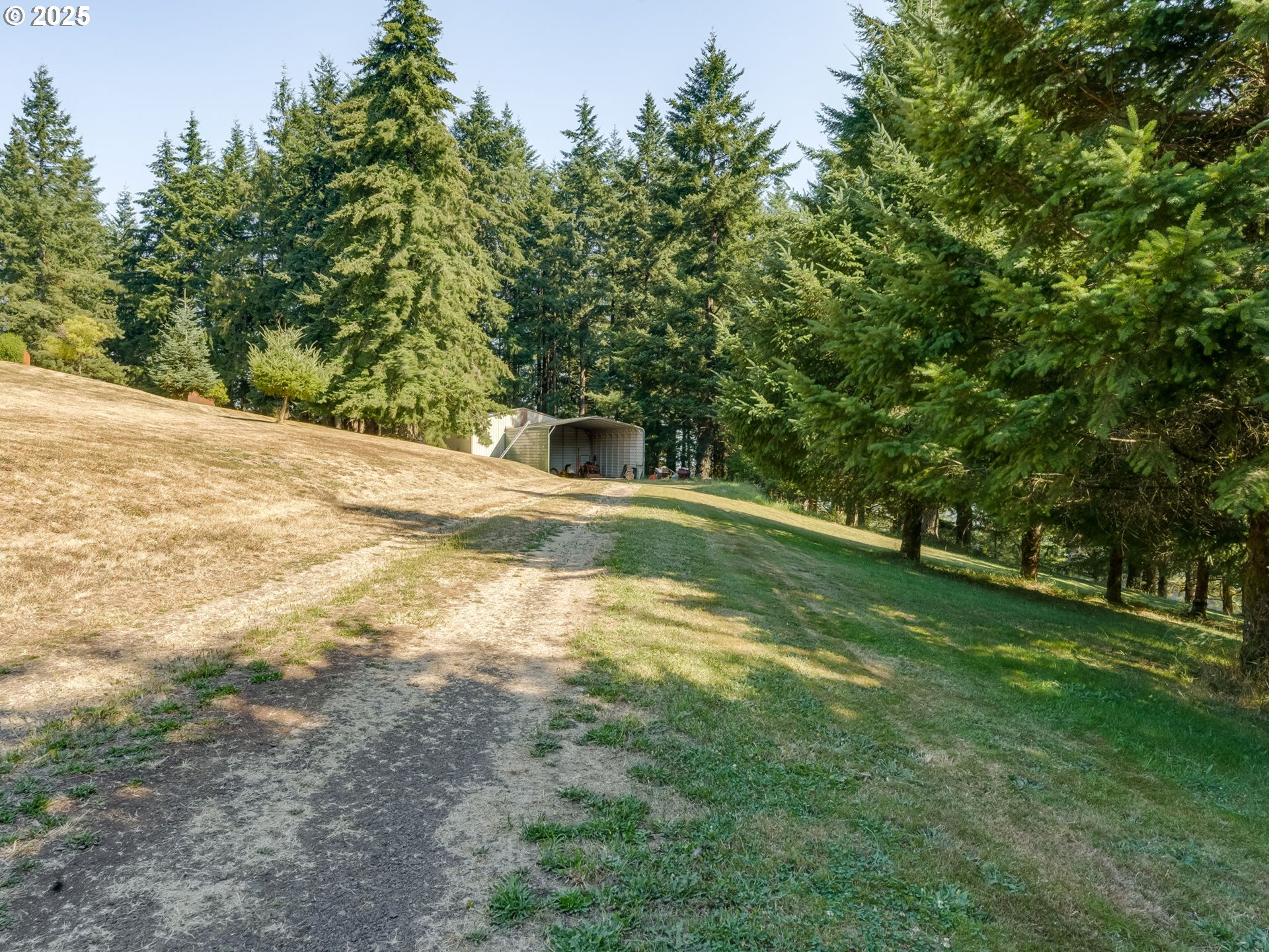 1712 Mount Pleasant Rd Property Photo 36
