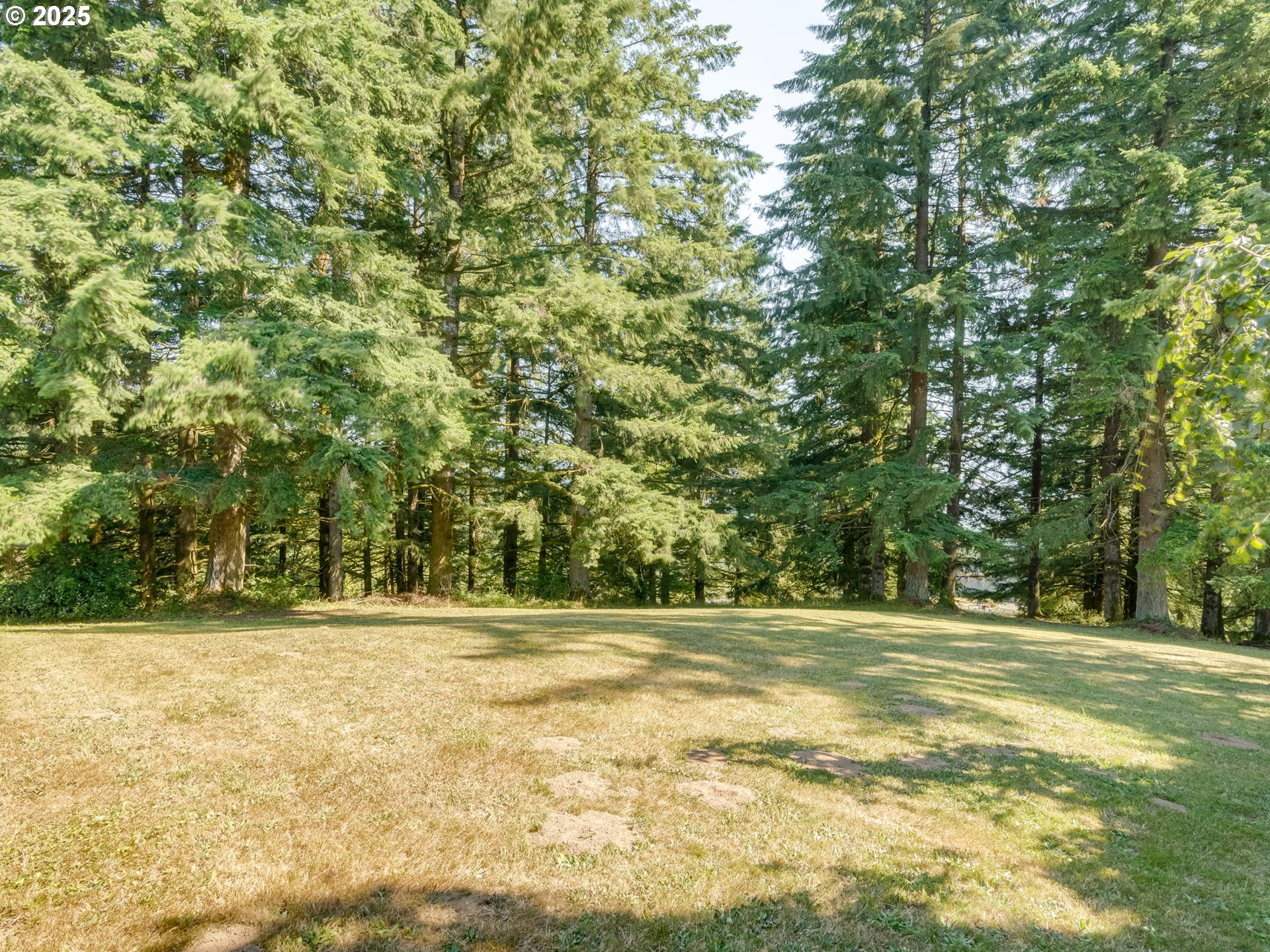 1712 Mount Pleasant Rd Property Photo 37