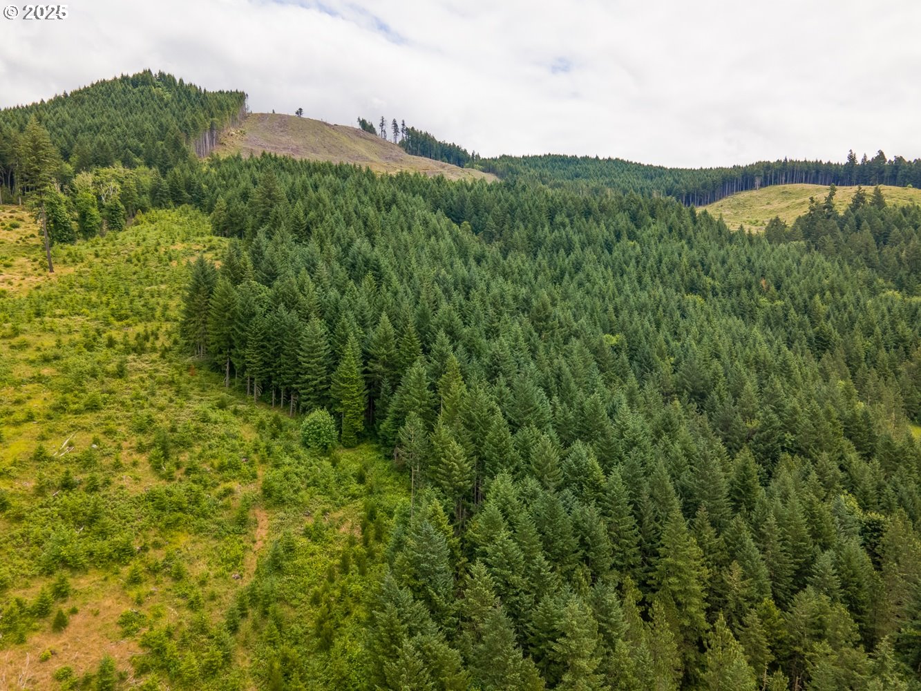 Rat Creek Rd Property Photo 1