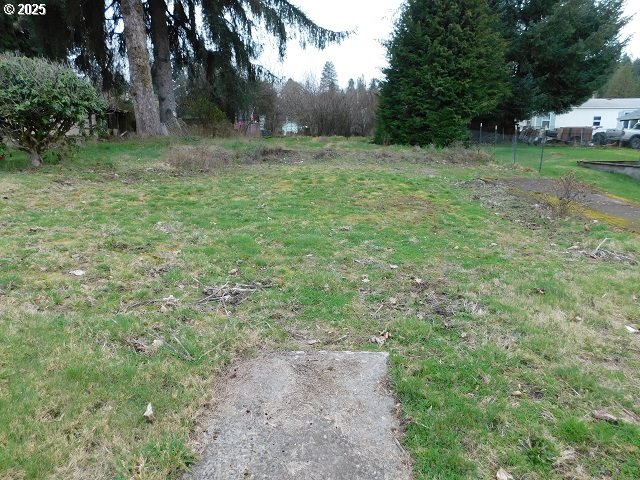 959 Rose Ave Property Photo 6