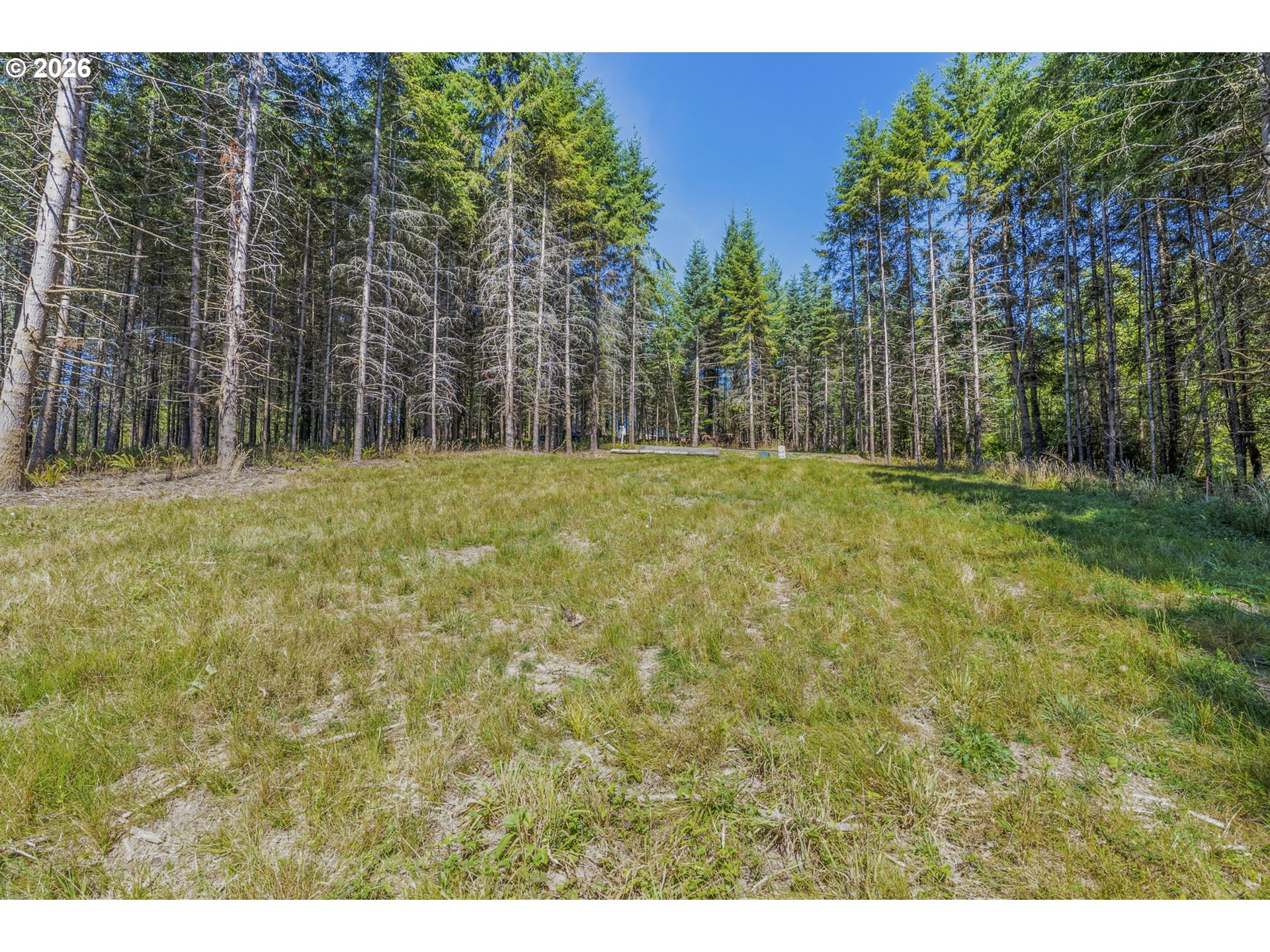 0 Old Tree Farm Dr 2 Property Photo 2